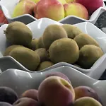 Kaktus Benikaktus