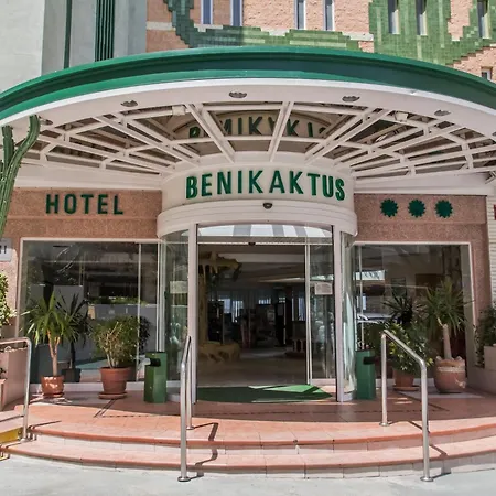 Kaktus Benikaktus 베니돔