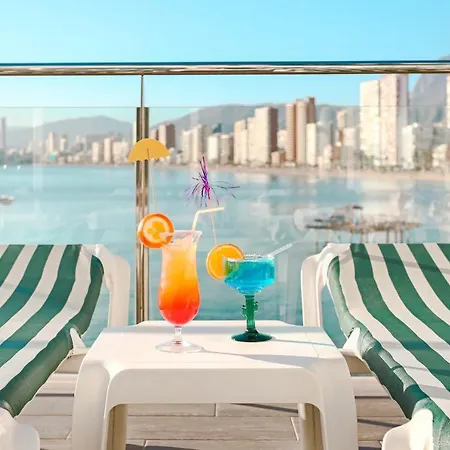 Kaktus Benikaktus Hotell