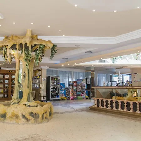 Kaktus Benikaktus 3*