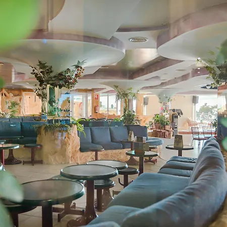 Kaktus Benikaktus Hotel