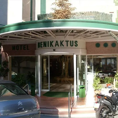 Kaktus Benikaktus