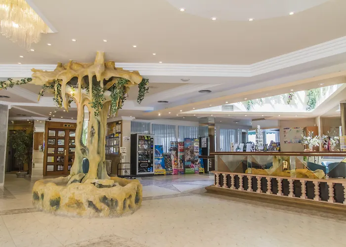 Kaktus Benikaktus 3*